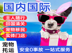 阳江合山航空快运国际宠物托运 【国